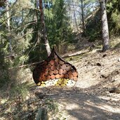 tisens erlebnisweg vorbichl kastanien holz