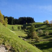 herbstwiesen bei glaiten