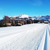 Seiser Alm Loipe Winterlandschaft