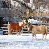 Unterwielenbach Winter