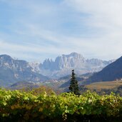 blick richtung karneid herbst steinegg und rosengarten