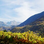 blick richtung karneid herbst steinegg und rosengarten