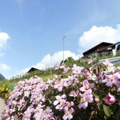 hoefe oberhalb von kuens