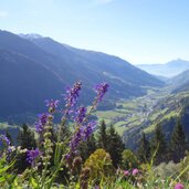 passeiertal herbst von glaiten aus gesehen