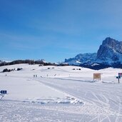 Seiser Alm Ritsch Loipe Winterlandschaft Langkofel Plattkofel