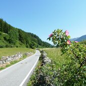 radweg von burgeis nach st valentin auf der haide