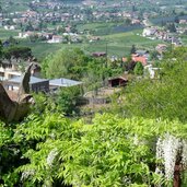 st peter gemeinde dorf tirol am tappeinerweg 
