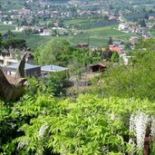 st peter gemeinde dorf tirol am tappeinerweg 