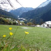 st peter lajen hof richtung pontives wiese herbst und winter