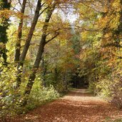 kalterer hoehenweg bei matschatsch richtung sueden