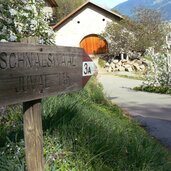 Tschars Schnalser Waalweg Schloss Juval