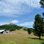 aldein jochgrimm gurndin alm