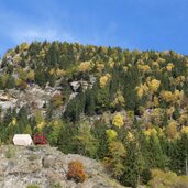 herbstwald bei moos in passeier timmelsjochstrasse
