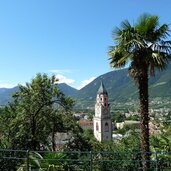 meran altstadt von tappeinerweg aus palmen