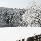 Wolfsgruben Wolfsgrubenersee Ritten