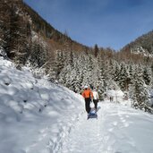 schnee winterwald nadelbaeume weg vals fane alm rodeln