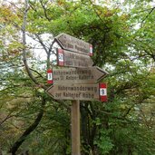 telefonsteig wegweiser st nikolaus kaltern mendelpass