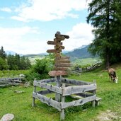 voels schnaggenkreuz kuhweide wegweiser