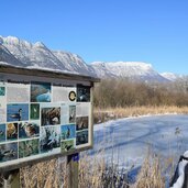 Kalterersee Winter fr