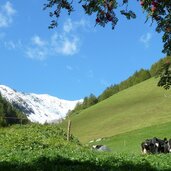 schnals pfossental bei vorderkaser