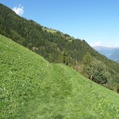 wiesen am mhw unterhalb von gfeis