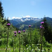 Ahrntal St Johann Huehnerspiel Rauchkogel Klausnock Durreck Distel