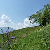 leiferer hoehenweg bei seit wiesen