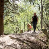 TM hund cane wandern waalweg wasser