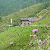 proveis stierbergalm