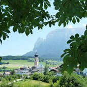 rosskastanienbaum vor voels am schlern untervoels