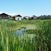 voels am schlern untervoels teich