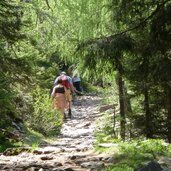 wanderer aufstieg zur moschwaldalm