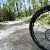 weg von moschwaldalm zur maiser alm mtb