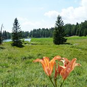 st felix see felixer weiher tretsee schilfguertel