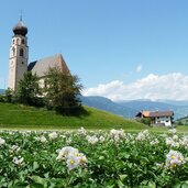 voels am schlern st konstantin kirche kartoffelacker