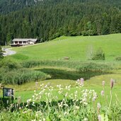 triassic park saurier weg unsere liebe frau im walde widummoos weiher