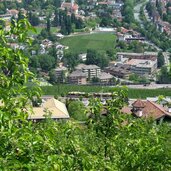 vinschger bahn auf dem weg nach marling