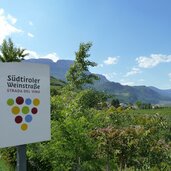 schild suedtiroler weinstrasse bei pillhof