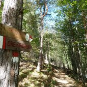 keschtnweg noerdlich von barbian dorf