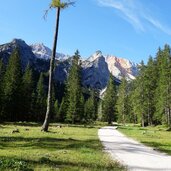 forststrasse weg im kaserbachtal bei brueckele