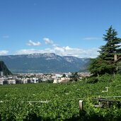 bozen bozner boden und weinberge