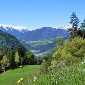blick auf spinges und umgebung darunter muehlbach
