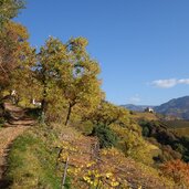 weg a nach rafenstein herbst landschaft weinberge kastanienhain