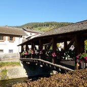 talfer bruecke in sarnthein herbst