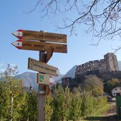 herbst jenesien wegweiser bei rafenstein