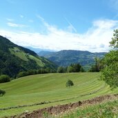 voels wiesen und karneid ortschaft breien hoefe