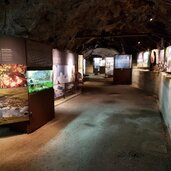Bunker Mooseum Ausstellung