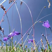 wandertipp auf der latemarspitze gopro gx