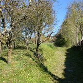 weg nr von waidbruck nach lajen ried