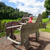 haflinger erlebnisweg pferdekutsche